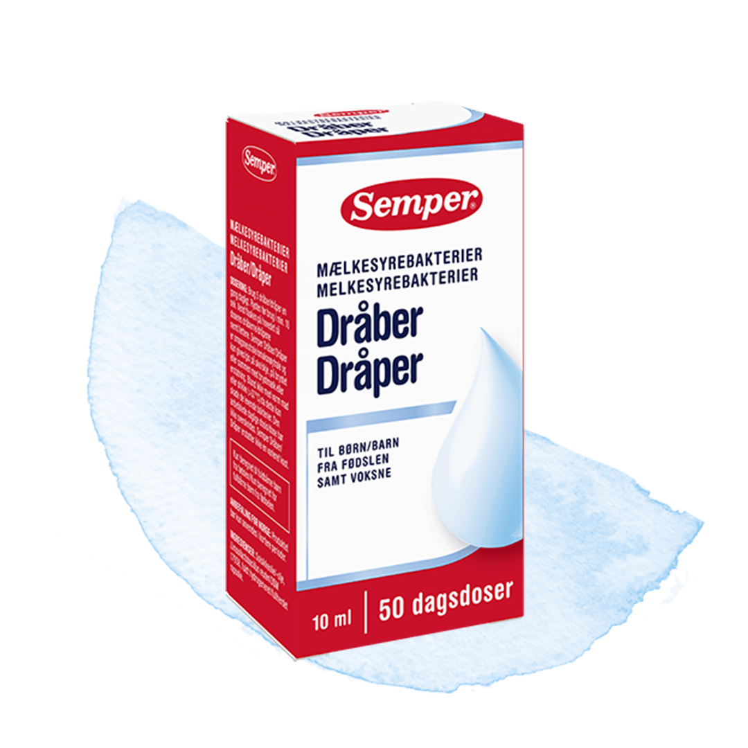 Semper dråper med melkesyrebakterier